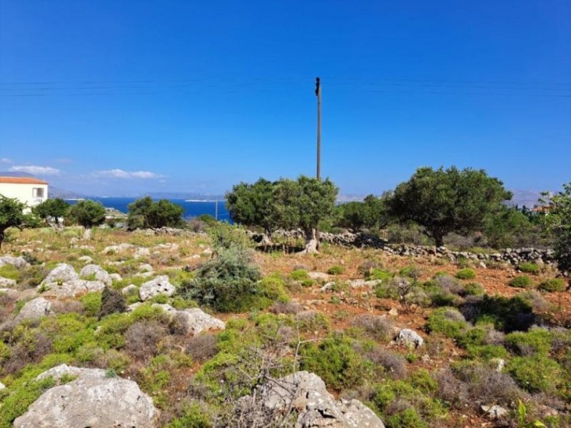 Kokkino Chorio Kreta, Kokkino Chorio: Bebaubares Grundstück mit Meerblick zu verkaufen Grundstück kaufen